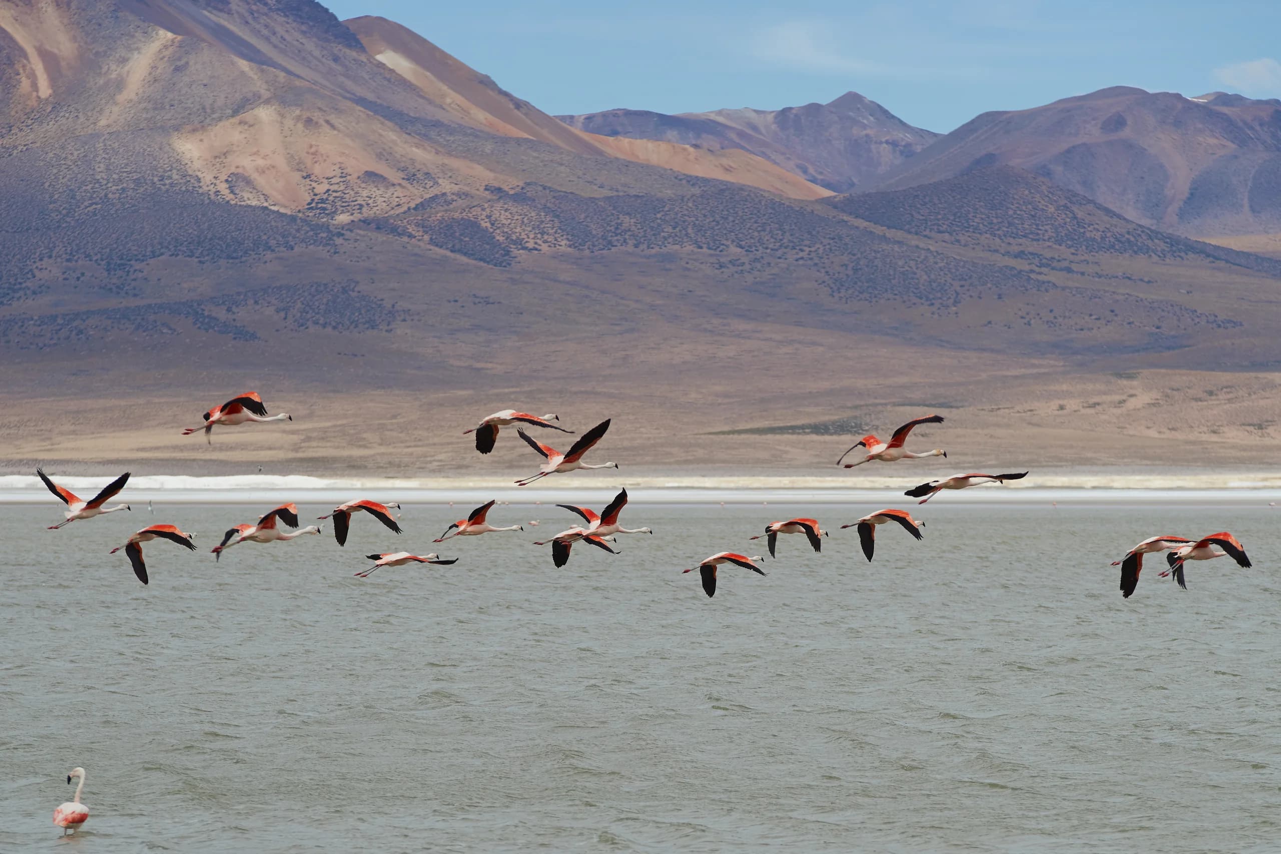 Arica y Parinacota