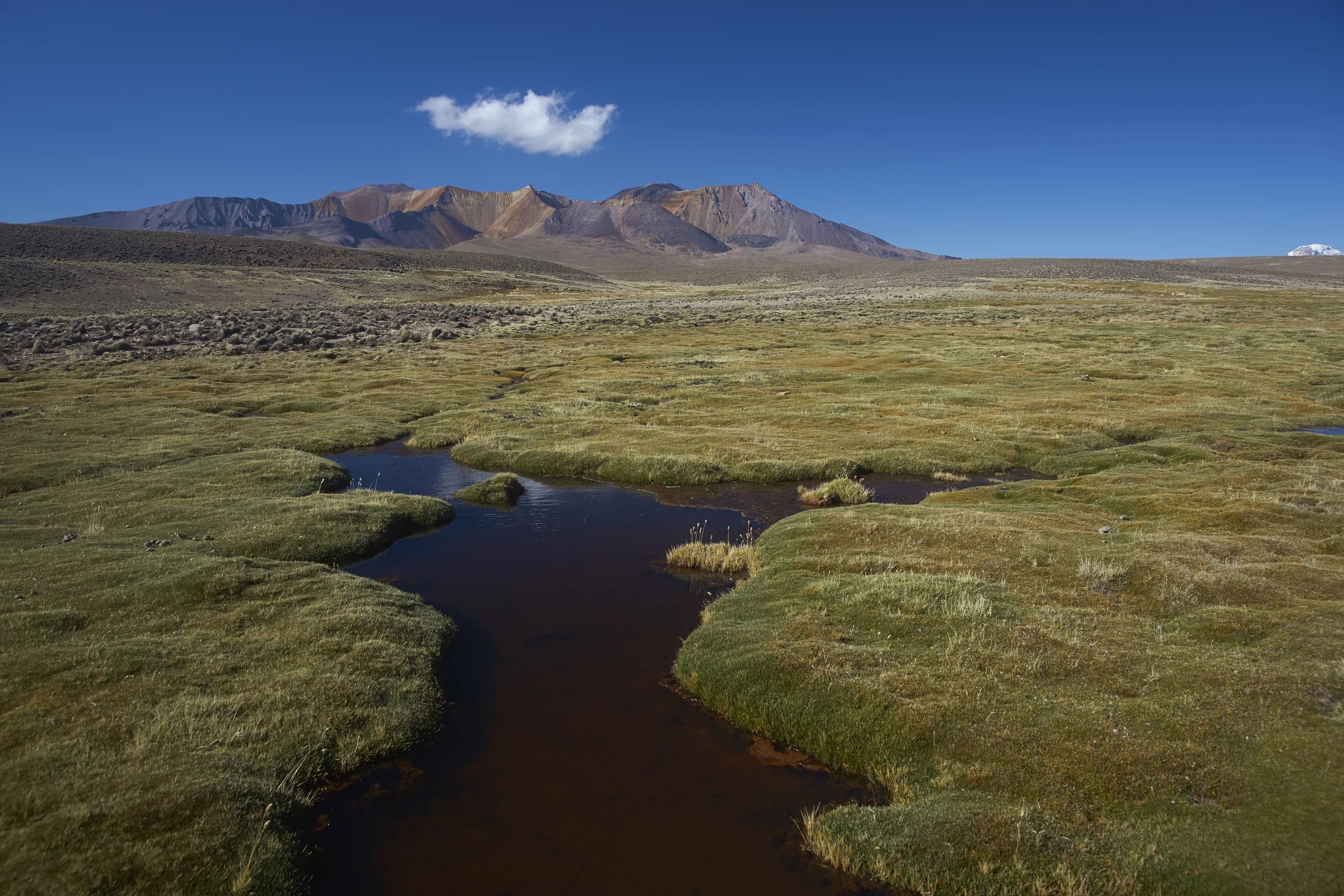 Arica y Parinacota