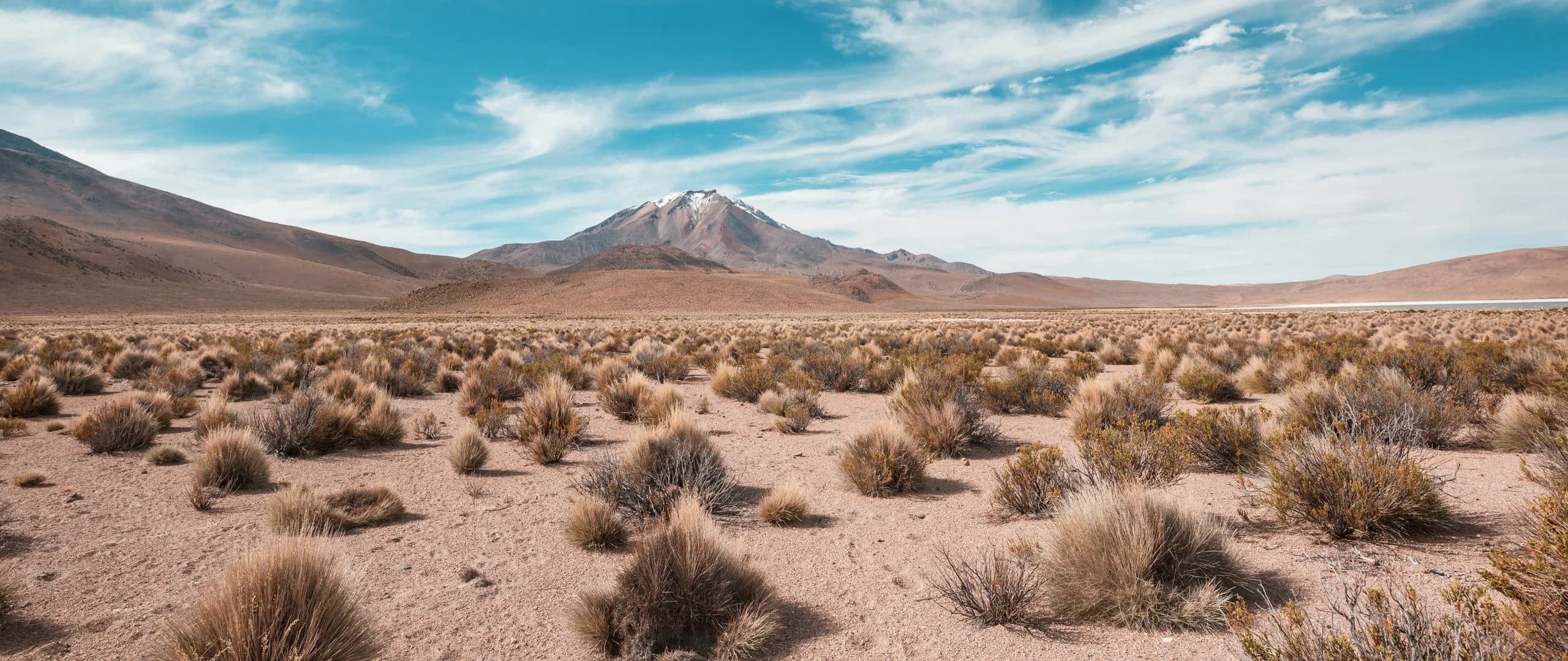 Arica y Parinacota