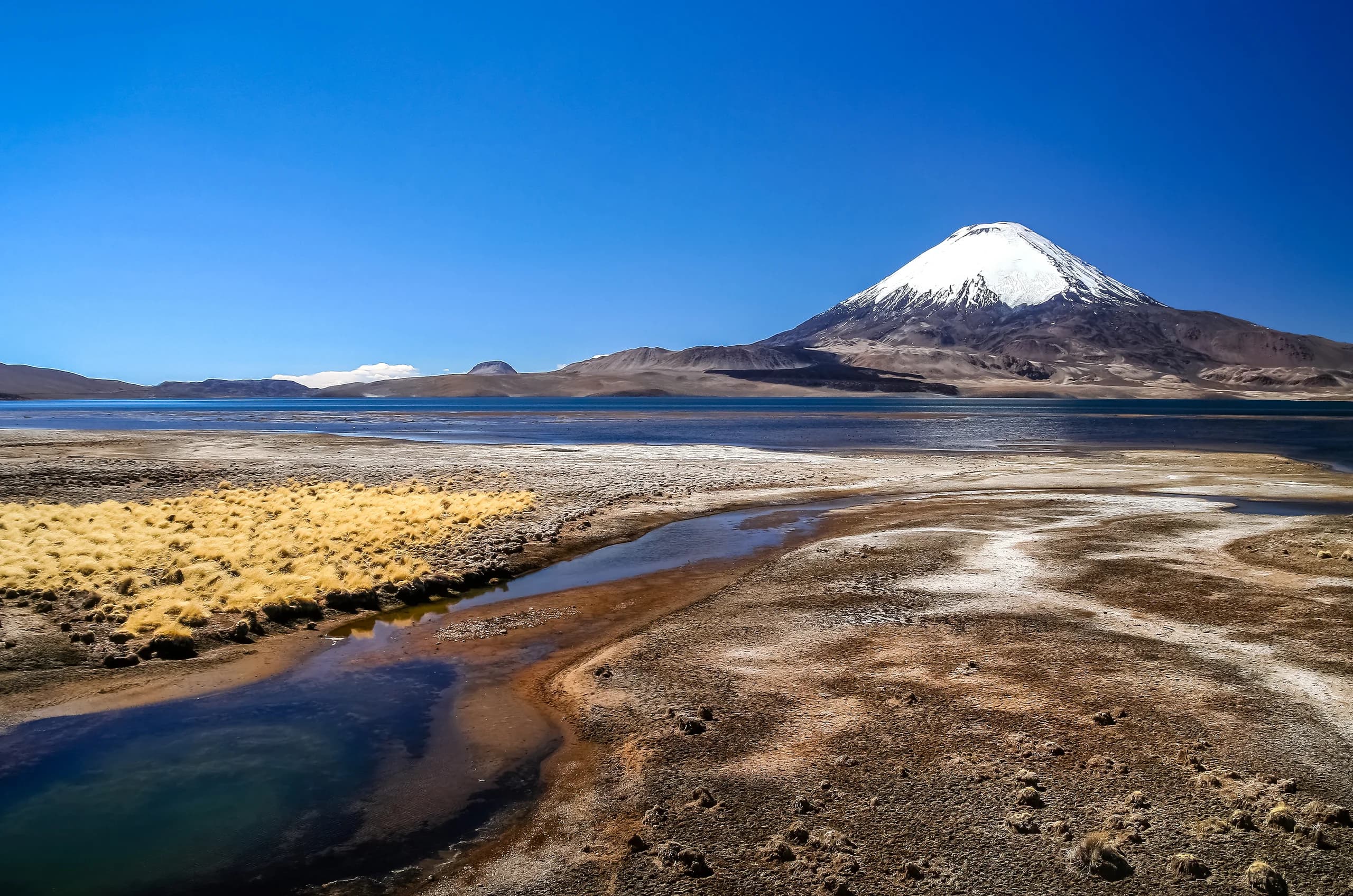Arica y Parinacota