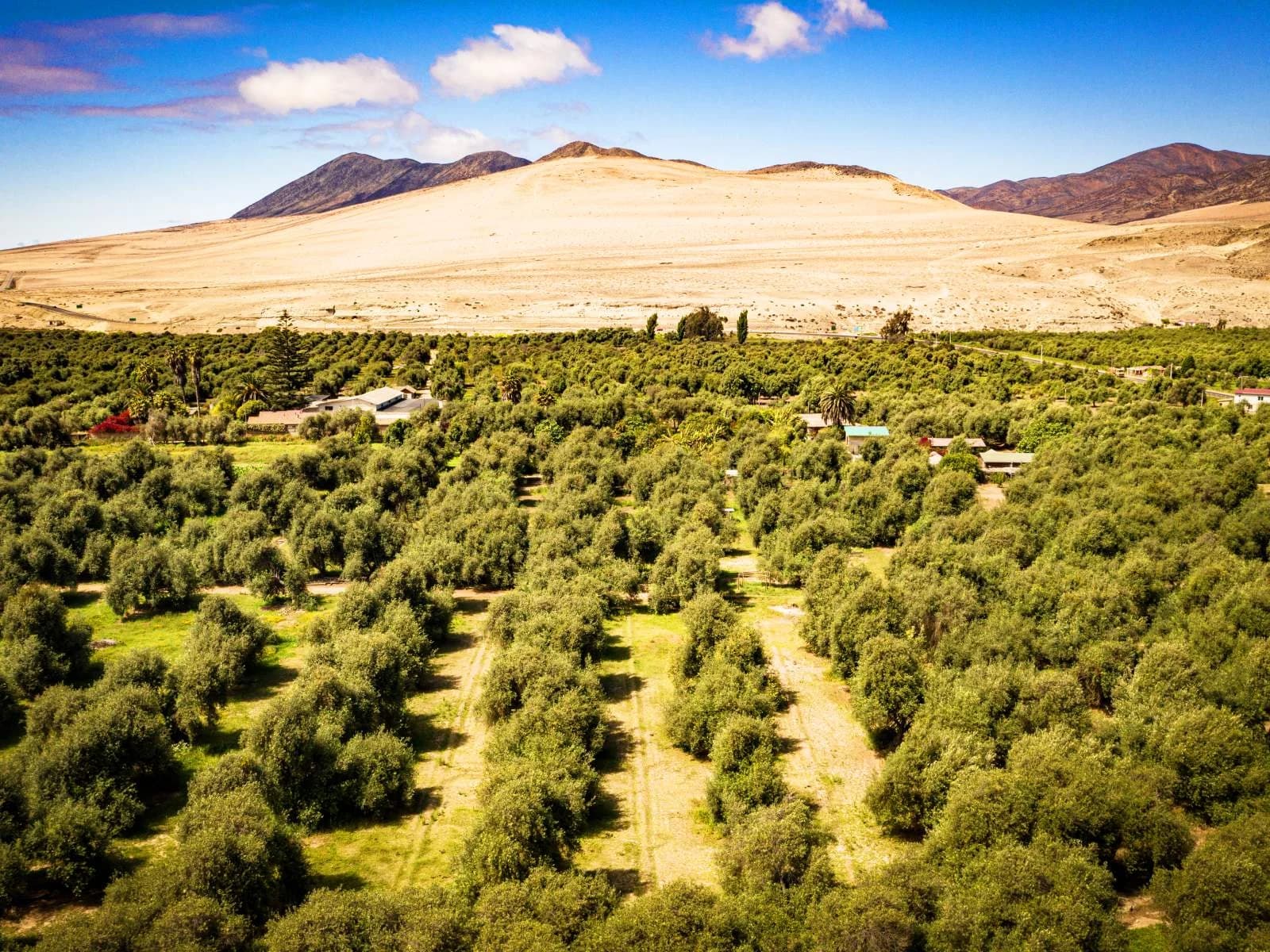 Atacama
