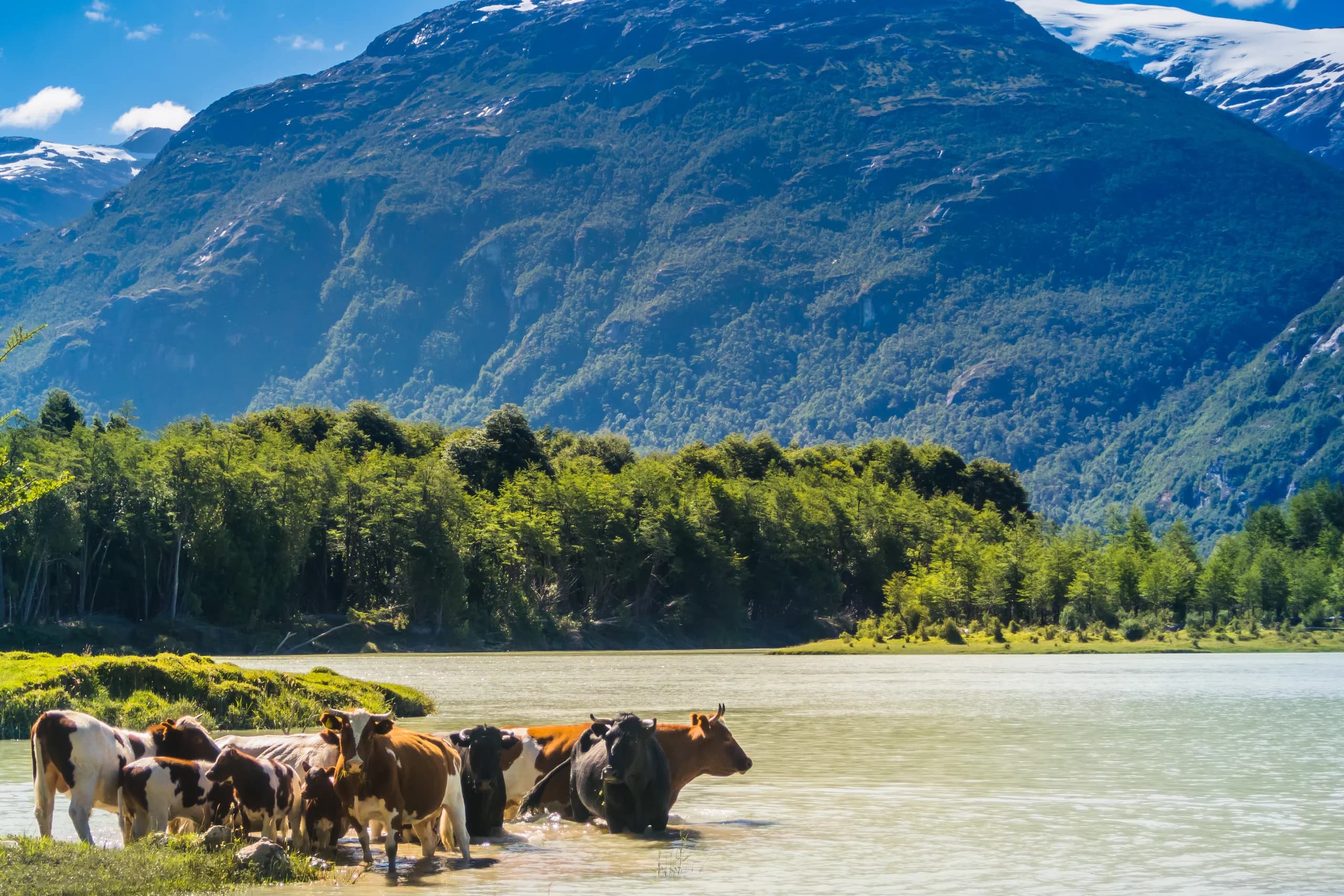 Aysén del General Carlos Ibáñez del Campo