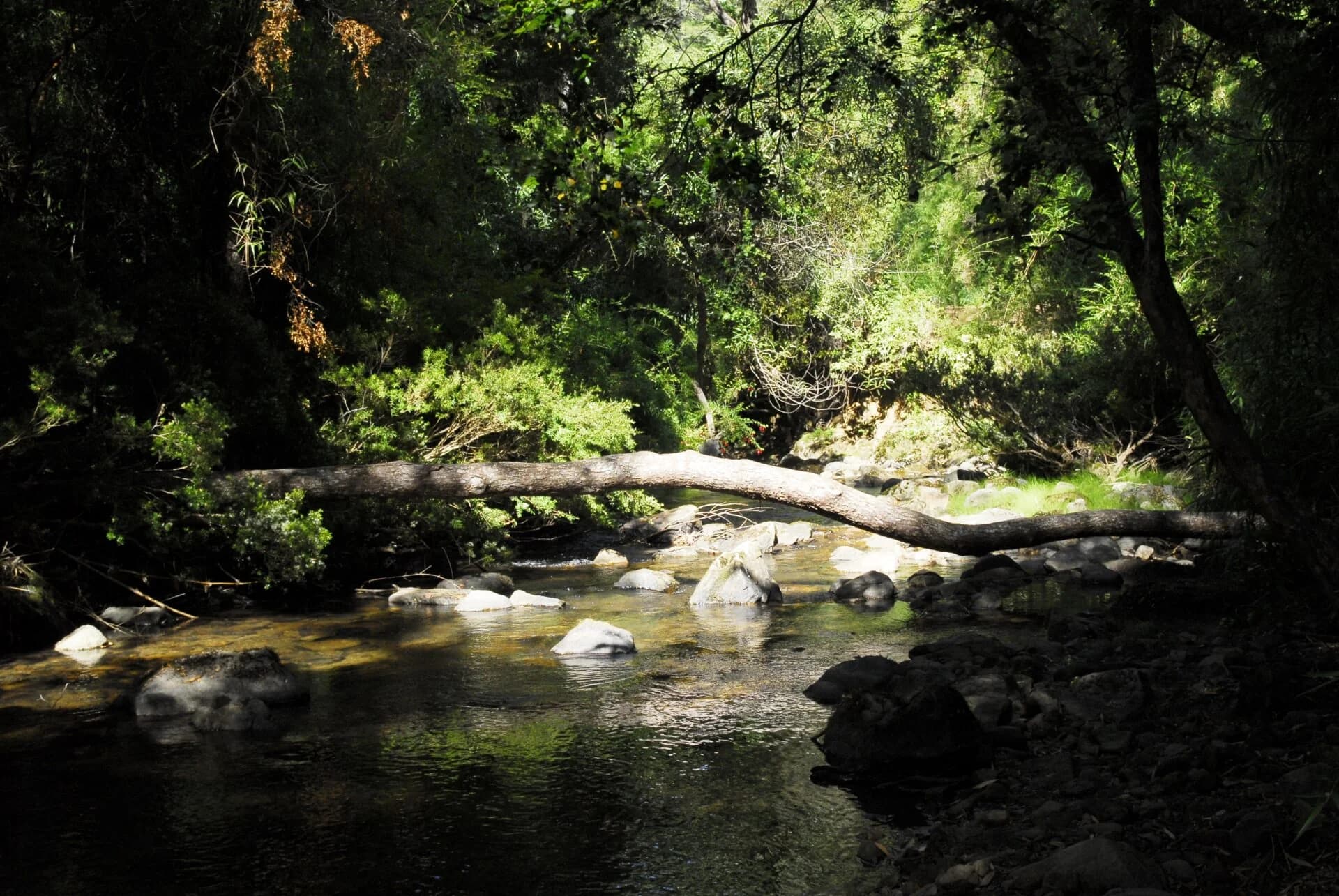 Biobío