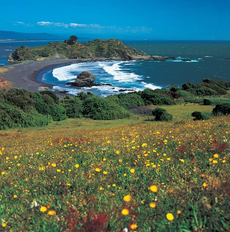 Biobío