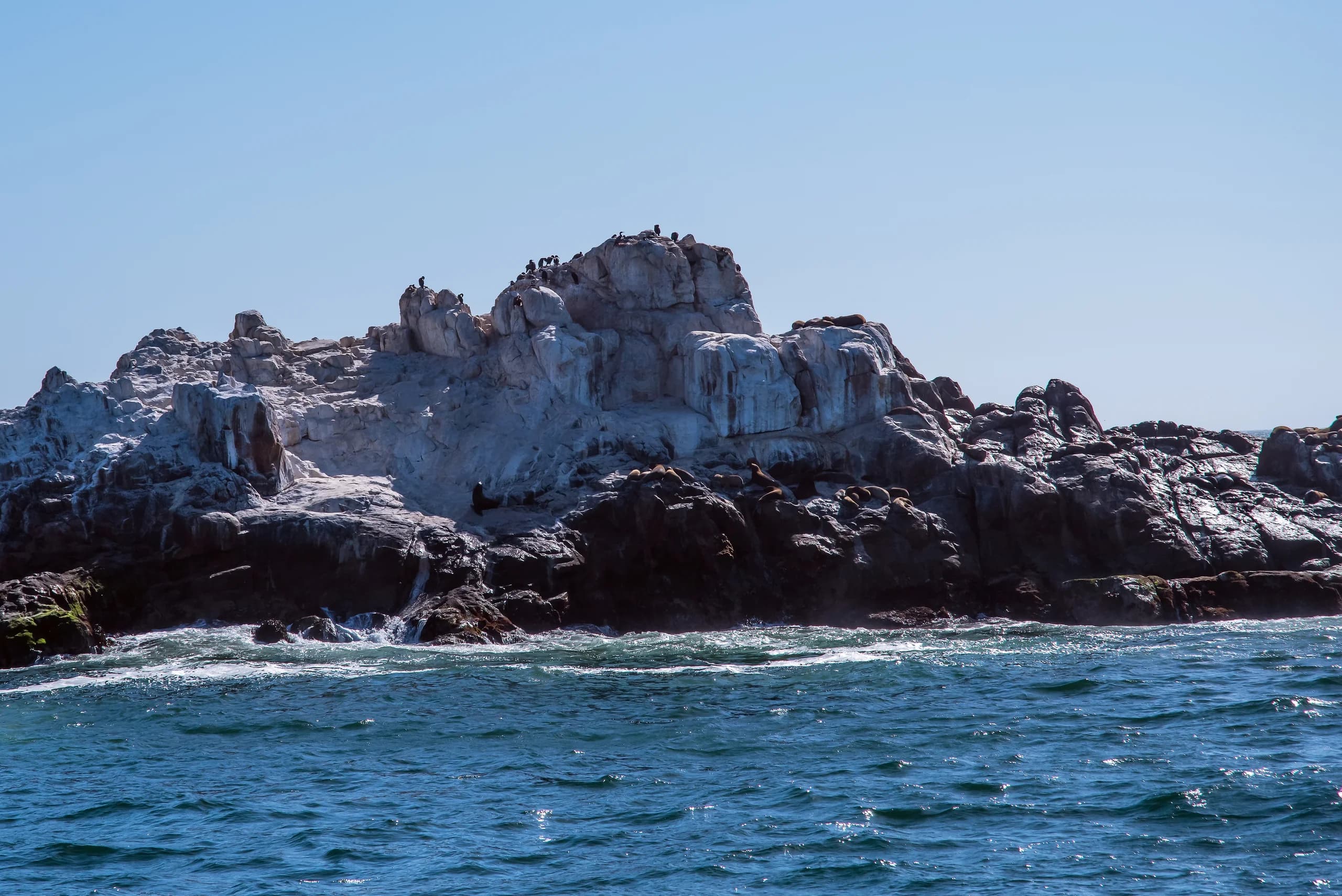 Coquimbo